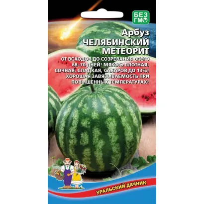 ЧЕЛЯБИНСКИЙ МЕТЕОРИТ