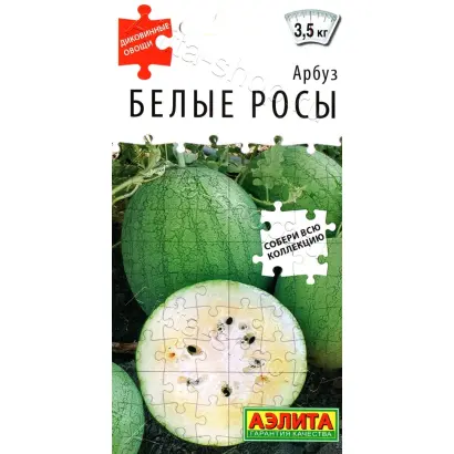 БЕЛЫЕ РОСЫ
