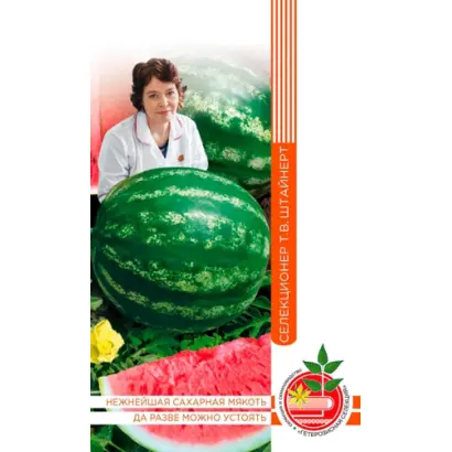 САХАРНЫЕ УСТА