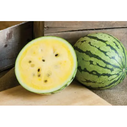 ЗОЛОТОЙ РЕВАНШ