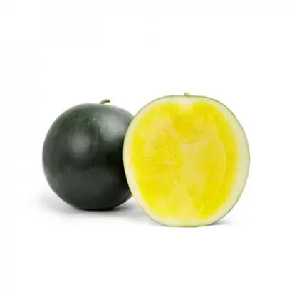 ТРОПИКАЛ САНШАЙН