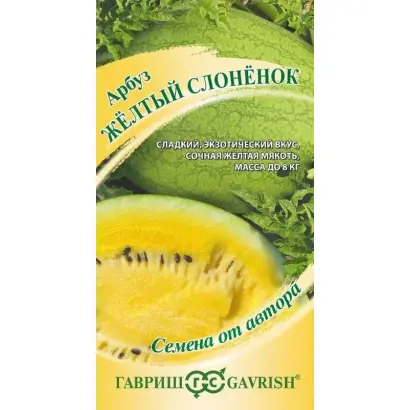 ЖЕЛТЫЙ СЛОНЕНОК