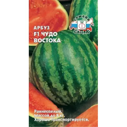 ЧУДО ВОСТОКА