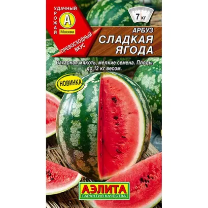 СЛАДКАЯ ЯГОДА