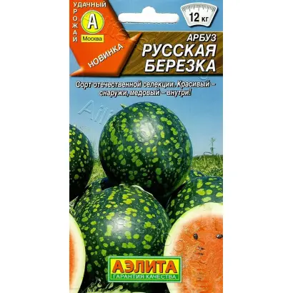РУССКАЯ БЕРЕЗКА