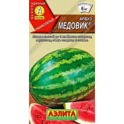 МЕДОВИК