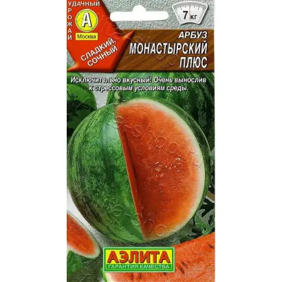 МОНАСТЫРСКИЙ ПЛЮС