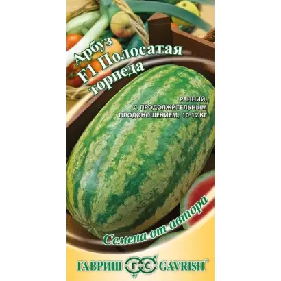 ПОЛОСАТАЯ ТОРПЕДА