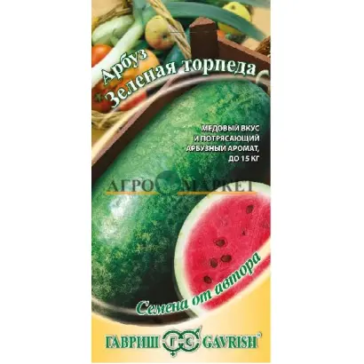 ЗЕЛЕНАЯ ТОРПЕДА