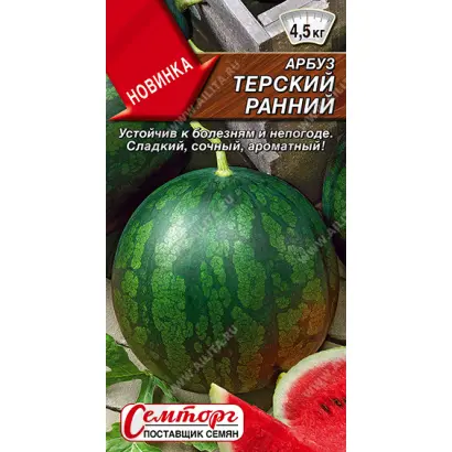 ТЕРСКИЙ РАННИЙ