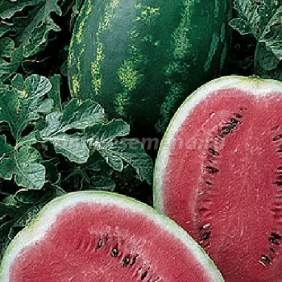 КРИМСОН ПРЕМИУМ