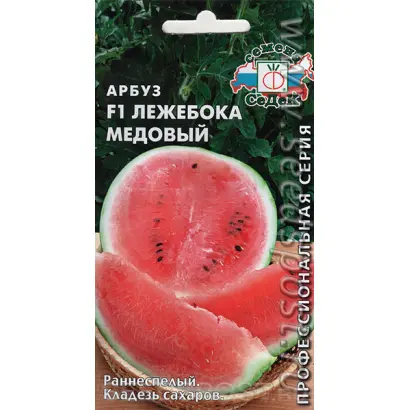 ЛЕЖЕБОКА МЕДОВЫЙ