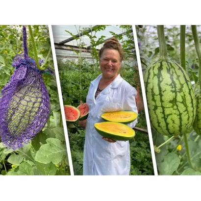 БЛАГОДАТНЫЙ