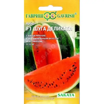 ШУГА ДЭЛИКАТА