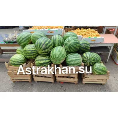 НОВИНКА АСТРАХАНИ