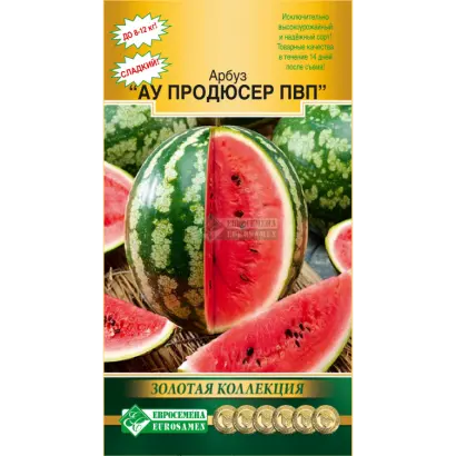 АУ ПРОДЮСЕР ПВП