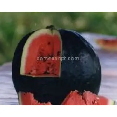 ОЛЬГИНСКИЙ