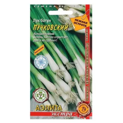 ПУЧКОВСКИЙ