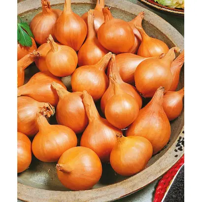 ПОДАРУЕВСКИЙ