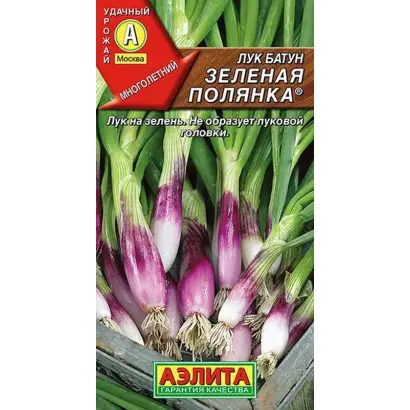 ЗЕЛЕНАЯ ПОЛЯНКА