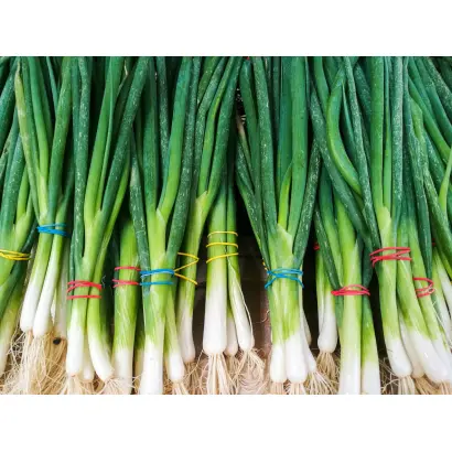 ИЗУМРУДНЫЙ