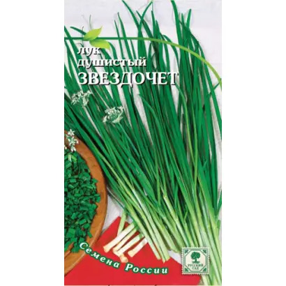 ЗВЕЗДОЧЕТ ПЛЮС