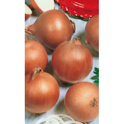 СТРИГУНОВСКИЙ МЕСТНЫЙ