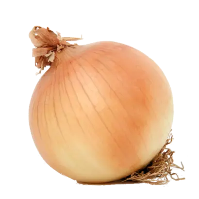 БАТЫРЕВСКИЙ