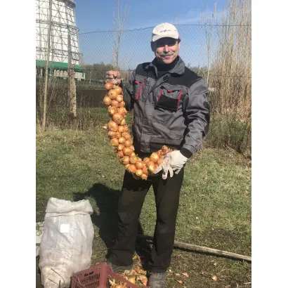 ИГЛИНСКИЙ 2