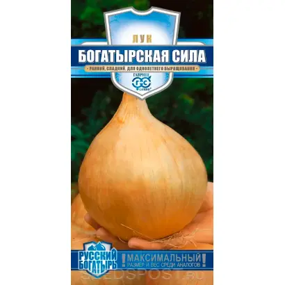 БОГАТЫРСКАЯ СИЛА