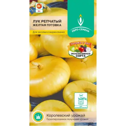 ЖЕЛТАЯ ПУГОВКА