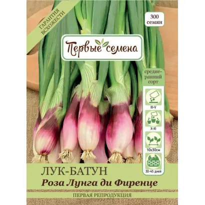 РОЗА ДИ ФЕРЕНЦЕ