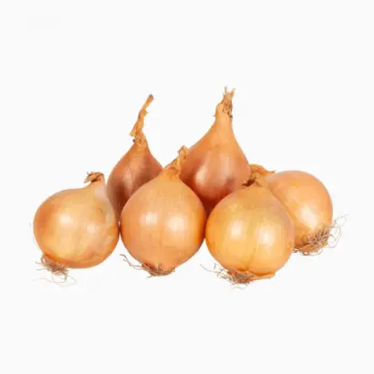 ШТУТТГАРТЕР-СТЕНФИЛД