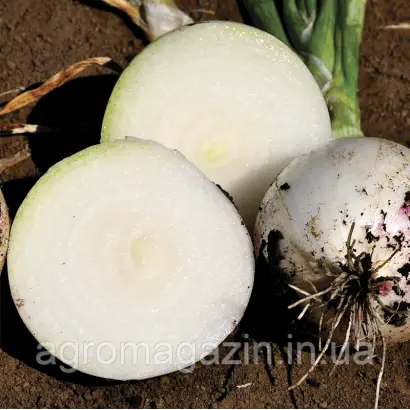 ПРИМО БЛАНКО