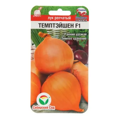 ТЕМПТЭЙШЕН