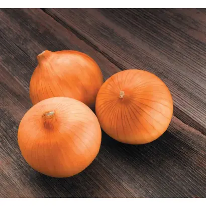 СПЭНИШ МЕДАЛЬОН