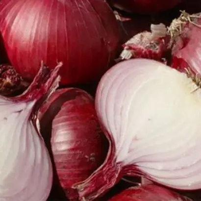 КРАСНЫЙ КАРДИНАЛ