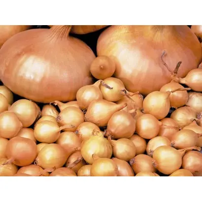 ЗОЛОТОЕ ВЕРЕТЕНО