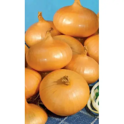 ЗОЛОТЫЕ КУПОЛА