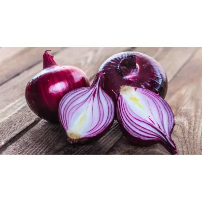 ФИОЛЕТОВЫЙ 5