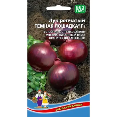 ТЁМНАЯ ЛОШАДКА