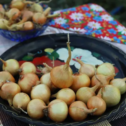 ЛЕГЕНДА СИБИРИ