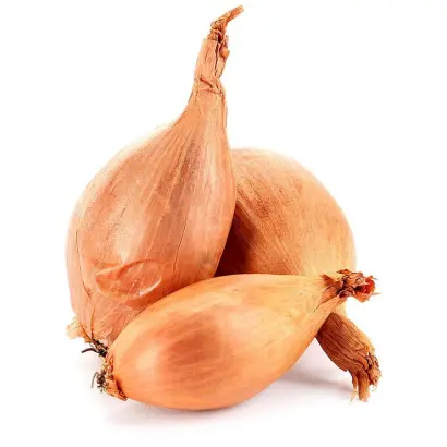 СЕВЕРНЫЙ БЛЮЗ