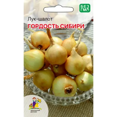 ГОРДОСТЬ СИБИРИ