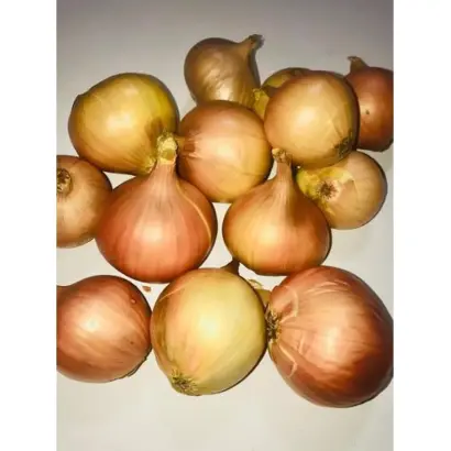 ЛЮБИМЕЦ УРАЛА