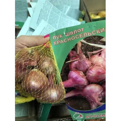 КРАСНОСЕЛЬСКИЙ