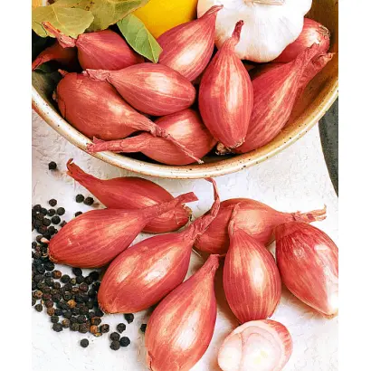 МАКАРЬЕВСКИЙ