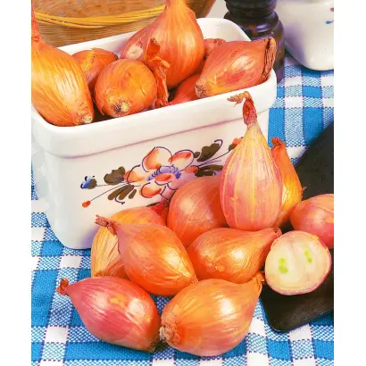 МОНАСТЫРСКИЙ