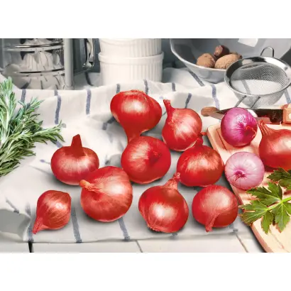 УРАЛЬСКИЙ КРАСНЫЙ