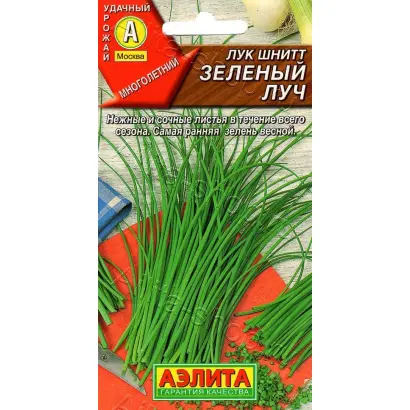 ЗЕЛЕНЫЙ ЛУЧ